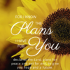 Christian Wallpaper - Sunflower Jeremiah 29:11