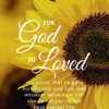 Christian Wallpaper - Sunflower John 3:16