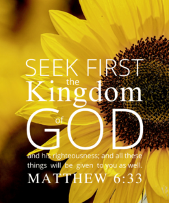 Christian Wallpaper – Sunflower Matthew 6:33