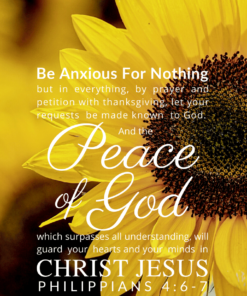 Christian Wallpaper – Sunflower Philippians 4:6-7