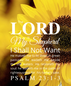 Christian Wallpaper – Sunflower Psalm 23:1-3