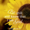 Christian Wallpaper – Sunflower Psalm 46:10