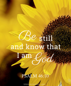 Christian Wallpaper – Sunflower Psalm 46:10