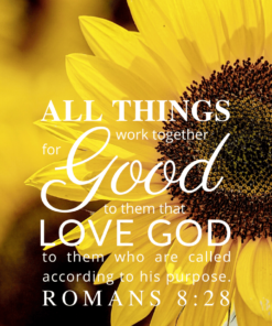 Christian Wallpaper – Sunflower Romans 8:28