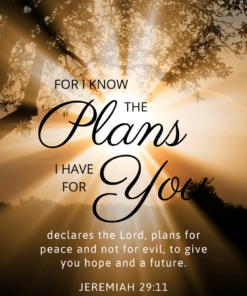 Christian Wallpaper – Sunrays Jeremiah 29:11