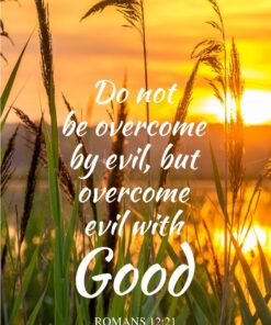 Christian Wallpaper - Sunrise Pond Romans 12:21