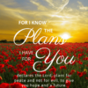 Christian Wallpaper – Sunset Jeremiah 29:11