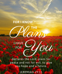 Christian Wallpaper – Sunset Jeremiah 29:11
