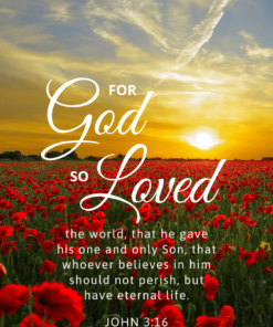 Christian Wallpaper – Sunset John 3:16