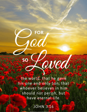 Sunset John 3:16