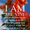 Christian Wallpaper - Tecoma Vine John 15:5