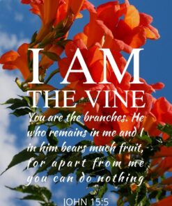 Christian Wallpaper - Tecoma Vine John 15:5