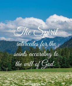 Christian Wallpaper - The Meadow Romans 8:27