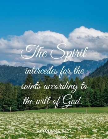 The Meadow Romans 8:27