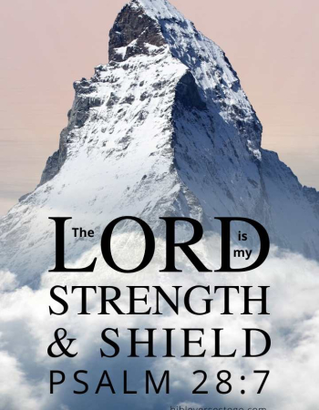The Rock Psalm 28:7