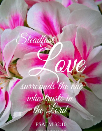 Touch of Pink Psalm 32:10