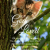 Christian Wallpaper – Tree Cat John 3:16