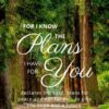 Christian Wallpaper – Treeline Jeremiah 29:11