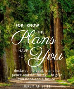 Christian Wallpaper – Treeline Jeremiah 29:11