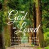Christian Wallpaper – Treeline John 3:16