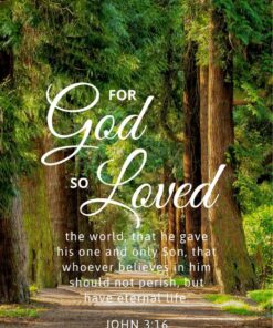 Christian Wallpaper – Treeline John 3:16
