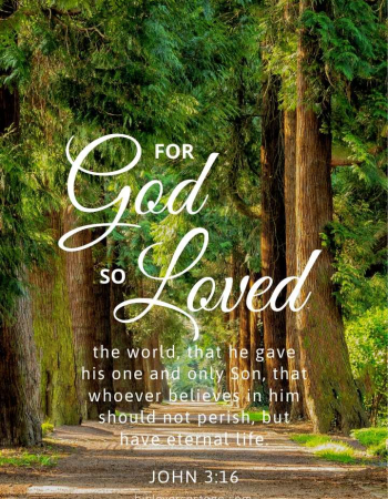Treeline John 3:16