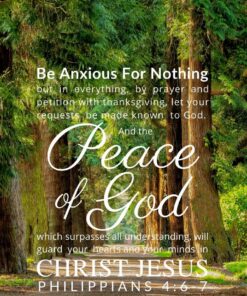 Christian Wallpaper – Treeline Philippians 4:6-7