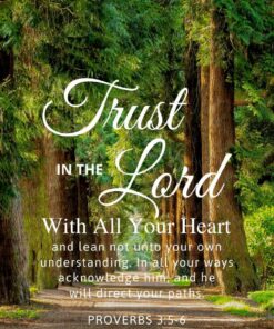 Christian Wallpaper – Treeline Proverbs 3:5-6
