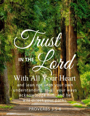 Treeline Proverbs 3:5-6