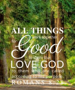 Christian Wallpaper – Treeline Romans 8:28