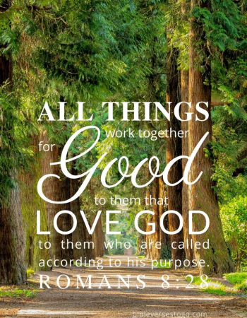 Treeline Romans 8:28