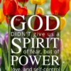Christian Wallpaper - Tulip Mix 2 Timothy 1:7