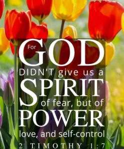 Christian Wallpaper - Tulip Mix 2 Timothy 1:7