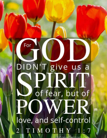 Tulip Mix 2 Timothy 1:7