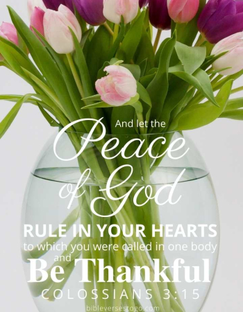 Tulip Vase Colossians 3:15