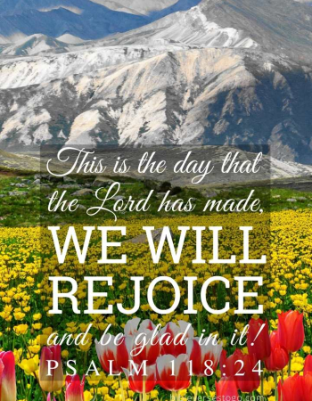 Tulip Field Psalm 118:24