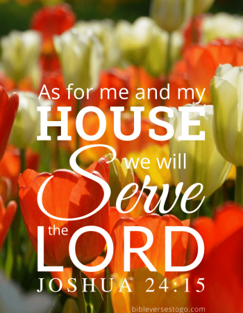 Tulips Joshua 24:15