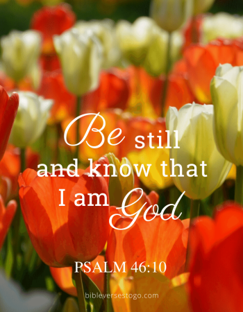 Tulips Psalm 46:10