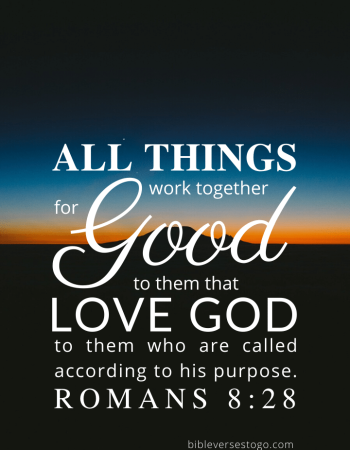 Twilight Rom 8:28