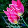 Christian Wallpaper - Two Tulips Ecclesiastes 4:9-10