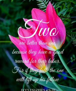Christian Wallpaper - Two Tulips Ecclesiastes 4:9-10