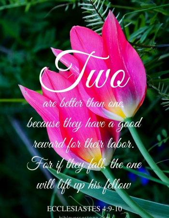 Two Tulips Ecclesiastes 4:9-10