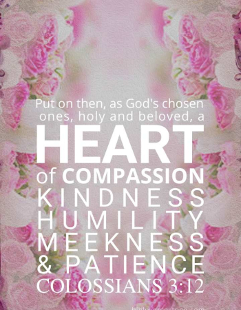 Vintage Pink Colossians 3:12