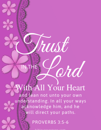 Violet Prov 3:5-6