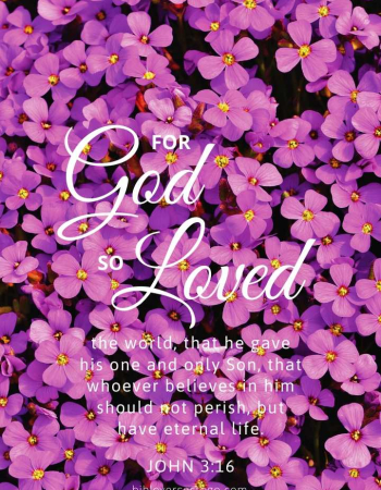 Violets John 3:16