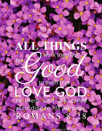 Violets Rom 8:28
