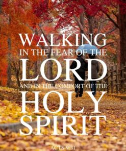 Christian Wallpaper - Walking With God Acts 9:31