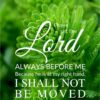 Christian Wallpaper - Water Plant Psalm 16:8