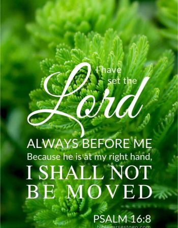 Water Plant Psalm 16:8
