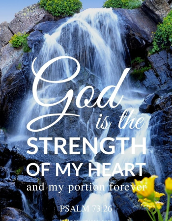 Waterfall Flowers Psalm 73:26